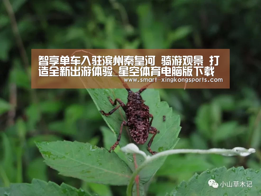星空体育下载