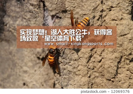 实现梦想!湖人大胜公牛,获得客场致敬‘星空体育下载’(图2) 星空体育下载